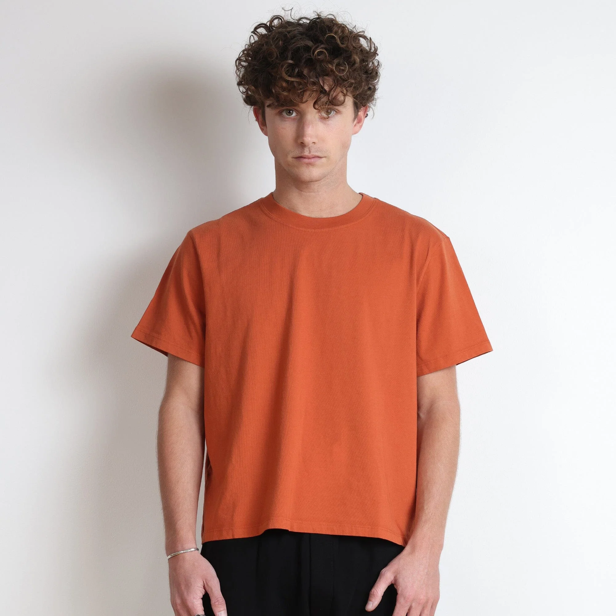 Silverlake Crop Tee II
