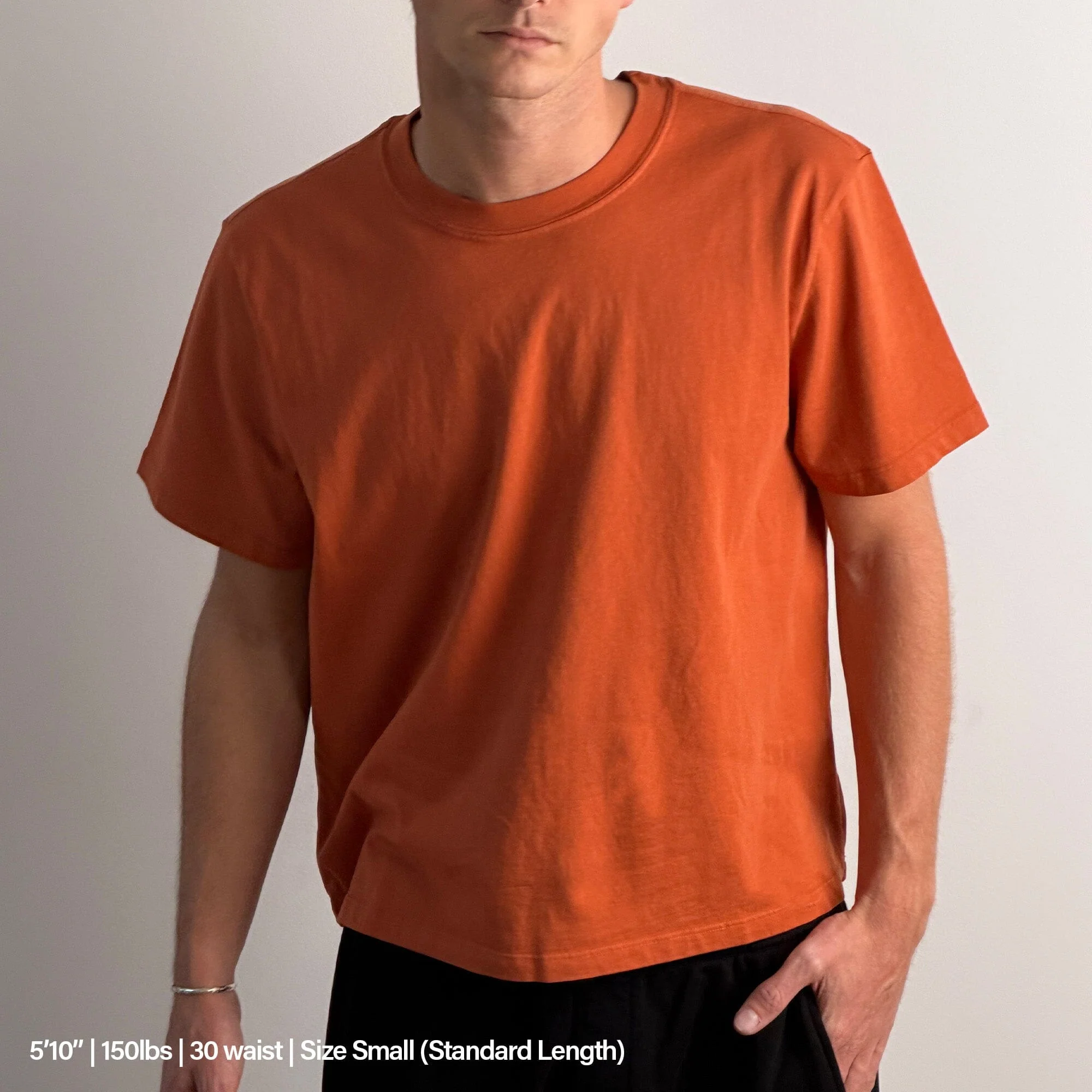 Silverlake Crop Tee II - Image 6