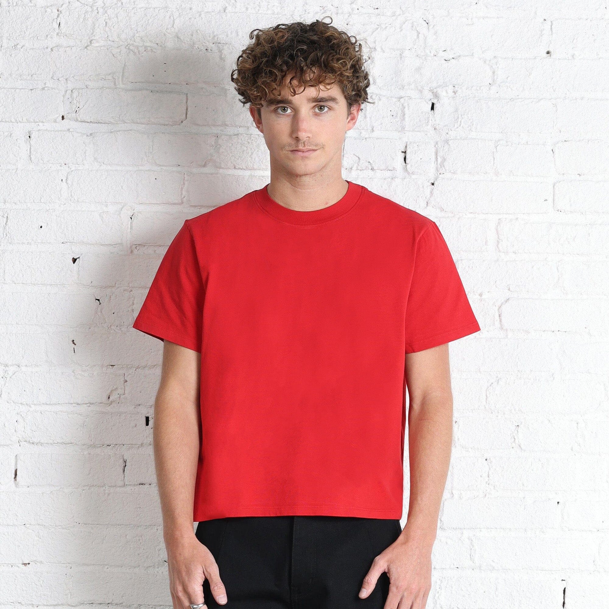 Silverlake Crop Tee II